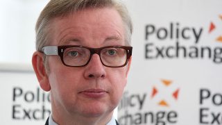UK farm subsidies to be dealt out on ‘environmental merit’ after Brexit