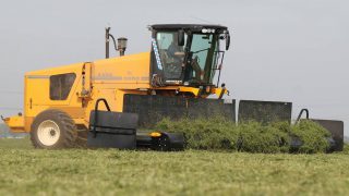 Have you ever seen a self-propelled silage ‘merger’?