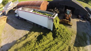 Video: Artic trucks called in to help with 35km silage draw