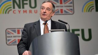 British farmers warn of ‘dangerous’ disappearance of EU labour