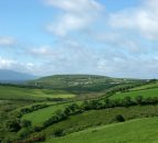 Tenancy vs Conacre: 'Don't let the tax tail wag the dog'