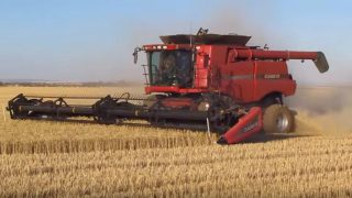 Video: ‘Killer’ machine to tackle herbicide resistant weeds