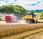 Video: Winter barley harvest wraps up in north Co. Dublin