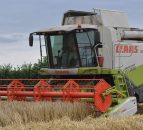 How much are contractors charging for harvesting cereals?