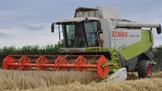 How much are contractors charging for harvesting cereals?