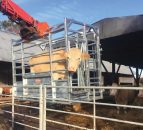Pics: Could this portable frame make suckler calving a lot easier?