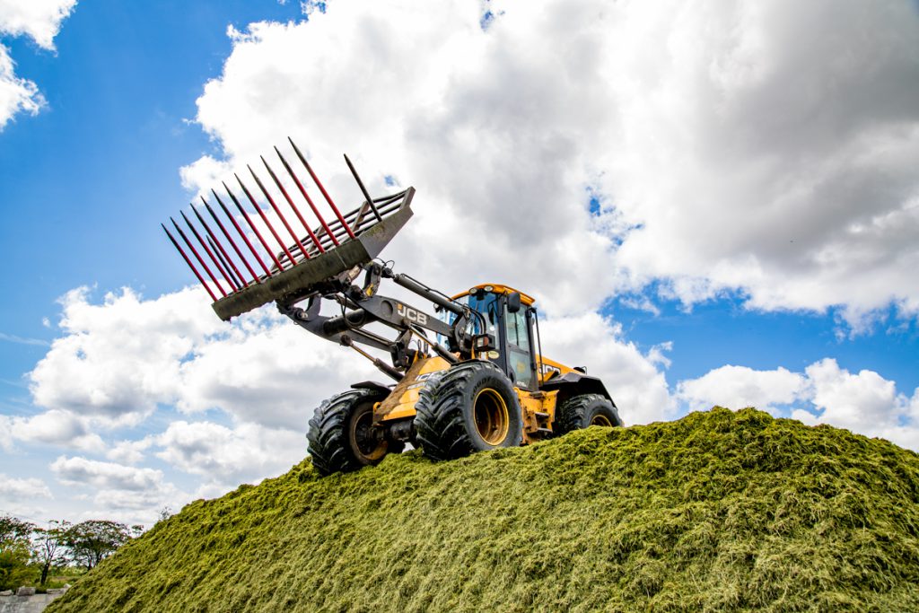 Gannon silage