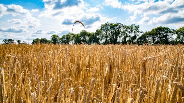 New study shows potential for machinery co-operatives in Scotland