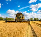 Video: 4,000ac Murragh Farm hitting yields of 4.5t/ac