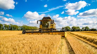 UK flour trade likely to be hit even in event of an EU trade deal