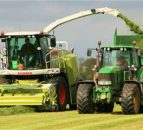 Call for 'grass women' to break records at silage event