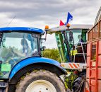 Video: 42-woman crew tackles silage world record for charity