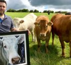 'Down' on the farm - how one artist takes inspiration from the land