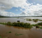Flood-hit farmers in the North reminded to submit force majeure applications