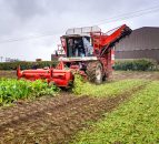 For sale: Ireland's most famous self-propelled beet harvester