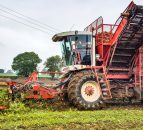 Video: Machinery punters 'beet' a path to working demo