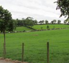 On the 'up': Down dairy farmers pipped at the post for UK grassland award