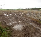 End to slurry ban recommended in government report more than a year ago