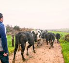 'Income might be up, but farmers continue to face tough times ahead'