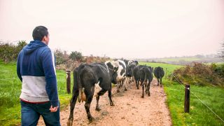 Farmers and the National Living Wage…is it possible to keep everyone happy?