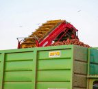 Potato harvest 2017: 'One of the worst in living memory'