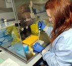 Farmers could pay for TB tests under range of radical proposals