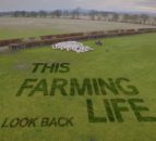This Farming Life's Bobby Lennox to lead bill at sheep producer event