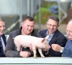 UK pork giant gives backing to Open Farm Weekend