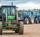 2017 auction review: What brands were in demand at the big sales?