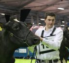 McCormick family takes centre stage at the Royal Ulster Winter Fair