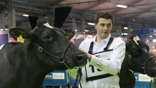 McCormick family takes centre stage at the Royal Ulster Winter Fair