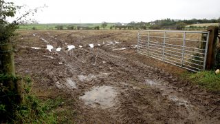 Policies needed to help farmers cope with volatile weather – NFU