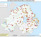 Department consults on Ash Dieback measures as spread continues