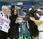 Winter Fair: Crowds flock to Ireland's largest dairy show - follow the action as it happens