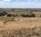 Dairy farming in a volcanic valley and exporting to China: Heather reports from Australia