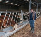 How more than 100 Scottish farmers pooled together for fairer prices