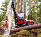 Scope for McHale Plant Sales to enjoy 40% growth in the next few years