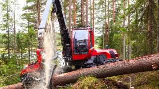 Scope for McHale Plant Sales to enjoy 40% growth in the next few years