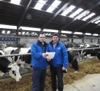 CAFRE cows to welcome visitors on dairy open days