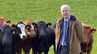 AFBI to present profit-based research findings at major dairy open day