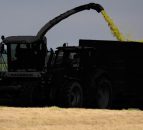 Major contracting machinery auction looms large