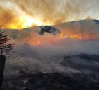 Majority of NI's 2,200 gorse fires 'started deliberately'