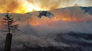 NSA warns of link between upland re-wilding and wild fires