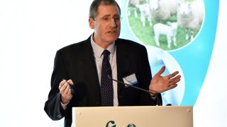Radical movement controls could push Ireland towards TB eradication