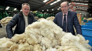 Market diversification: Are natural wool carpets the next niche?