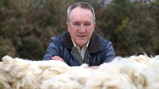 Ulster Wool’s new rep set to take producers through turbulent times