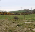 Environmental Farming Scheme open for applications