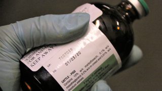 Industry specialists to go head-to-head over antimicrobial resistance