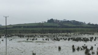 Tree planting could soak up Tyrone floodwater