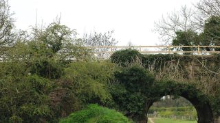 Farmers affected by greenways ‘not treated properly’